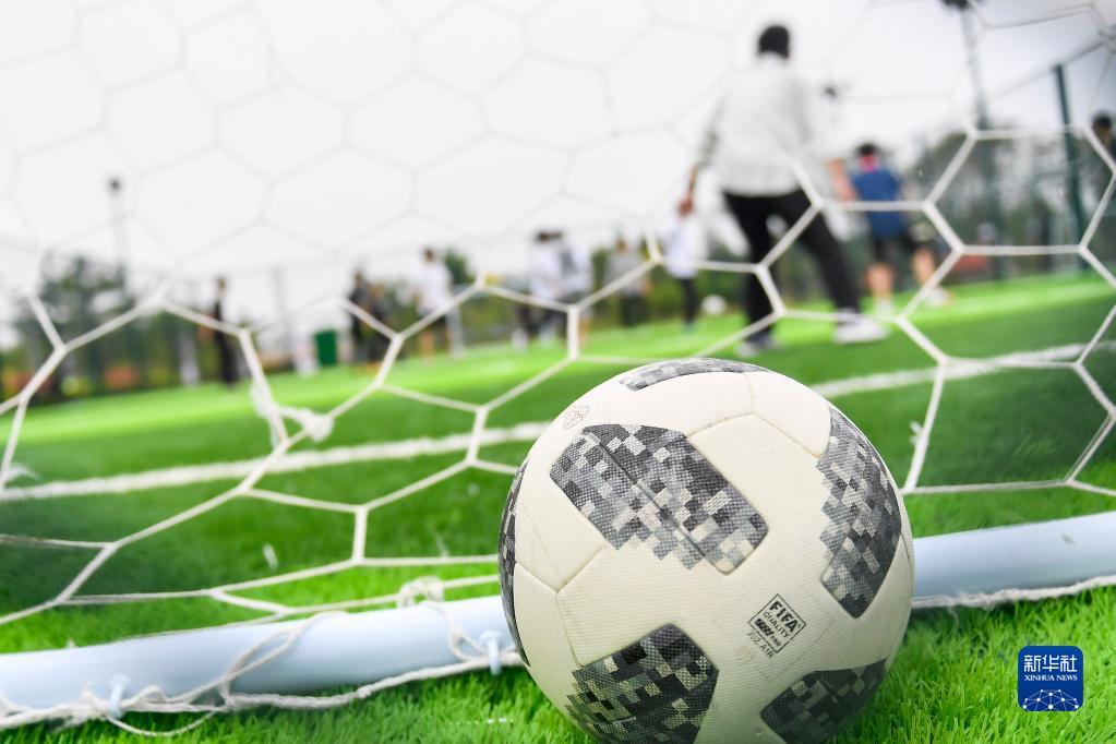 也促进其在 也促进其在