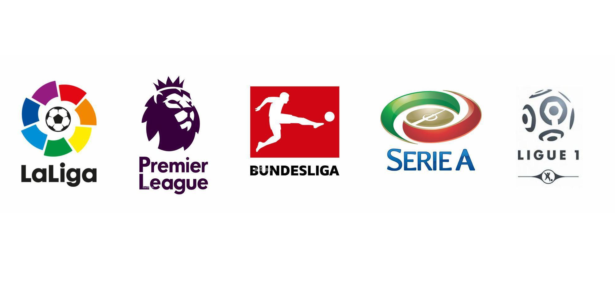 体表现亦具 体表现亦具