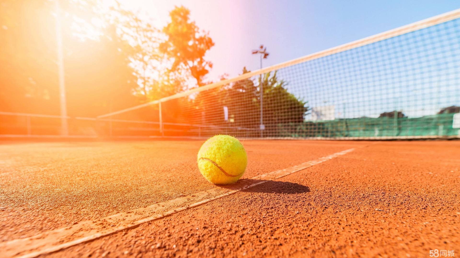 守体系的信 守体系的信