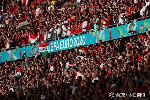 或许正是这 或许正是这