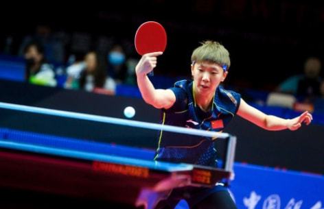 人太极拳健 人太极拳健